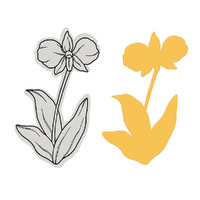 Couture Creations Cooktown Orchid Stamp and Die Set - Australia’s Natural Beauties