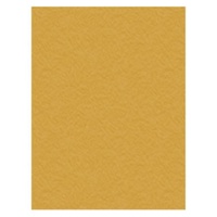 Crafts-Too Non Stick Craft Mat 33cm x 50cm (13in x 19.5in ) NOTHING STICKS!