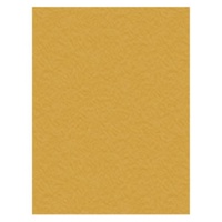 Crafts-Too Non Stick Craft Mat 33cm x 50cm (13in x 19.5in ) NOTHING STICKS!