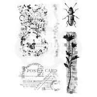 Woodware Clear Stamps Marks