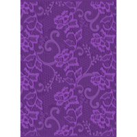 Crafter's Companion 3D Embossing Folder 5X7 Chantilly Lace
