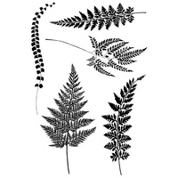 Woodware Clear Stamps Ferns