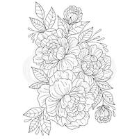 Woodware Clear Stamps By Jane Gill Camellia Spray