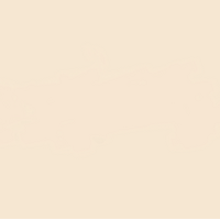12 X 12 Chantilly Lace Cardstock