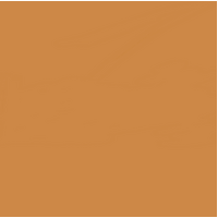 12 X 12 Butterscotch Cardstock