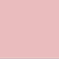 12 X 12 Rosa Cardstock