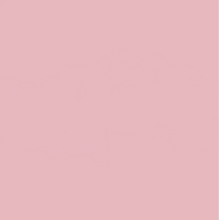 12 X 12 Misty Rose Cardstock