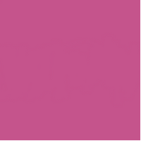 12 X 12 Wild Berry Cardstock