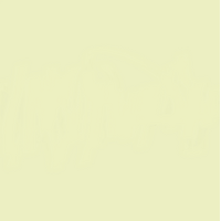 12 X 12 Meadow Cardstock