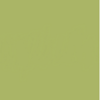 12 X 12 Eucalyptus Cardstock