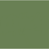 12 X 12 Fir Tree Cardstock