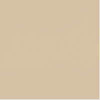 12 X 12 Cappuccino Cardstock