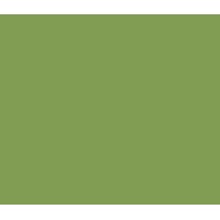 12 X 12 Lime Cardstock