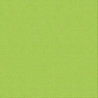 12 X 12 Chrysalis Textured Cardstock - Ultimate Crafts