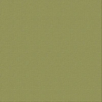 12 X 12 Battle Fatigue Textured Cardstock - Ultimate Crafts