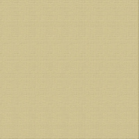 12 X 12 Friftwood Textured Cardstock - Ultimate Crafts
