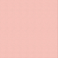 12 X 12 Fairy Wings Textured Cardstock - Ultimate Crafts