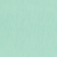 12 X 12 Bubbly Textured Cardstock - Ultimate Crafts