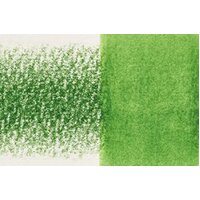 Derwent Inktense Pencil Jungle Green - 1410