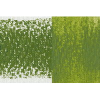 Derwent Inktense Pencil Fern - 1560