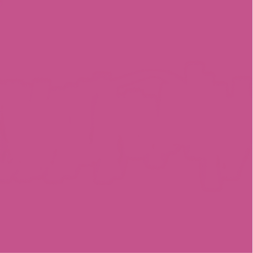 12 X 12 Wild Berry Cardstock